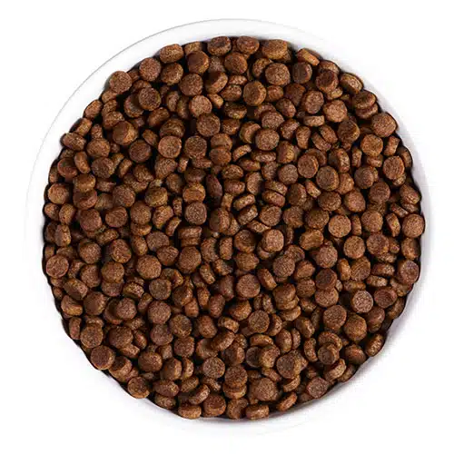 AMBROSIA KIBBLE2111 WEB