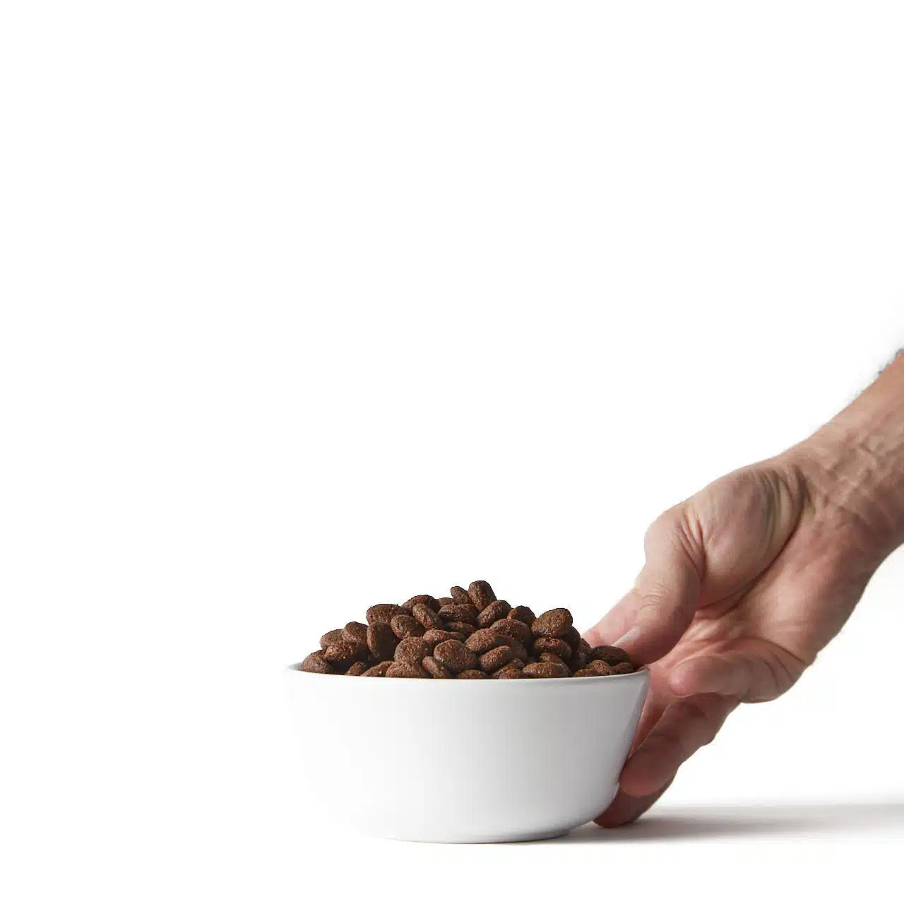 AMBRSIA STOPMOTION2571 1 NEW