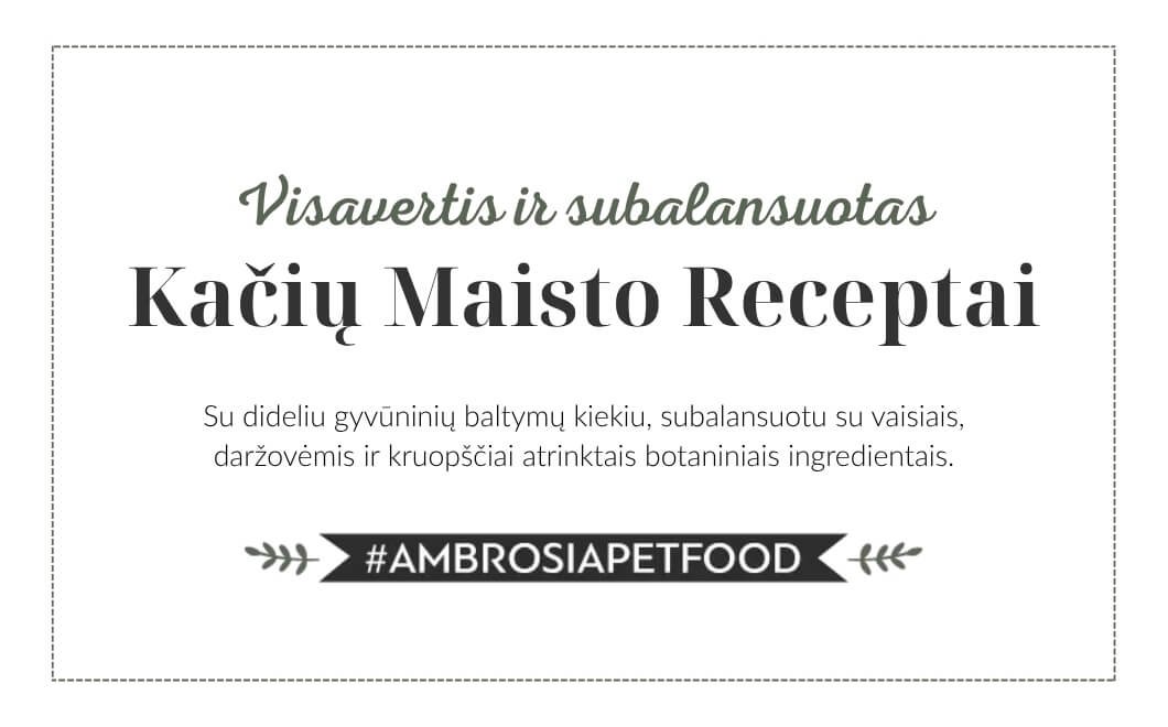 Visavertis ir subalansuotas cat