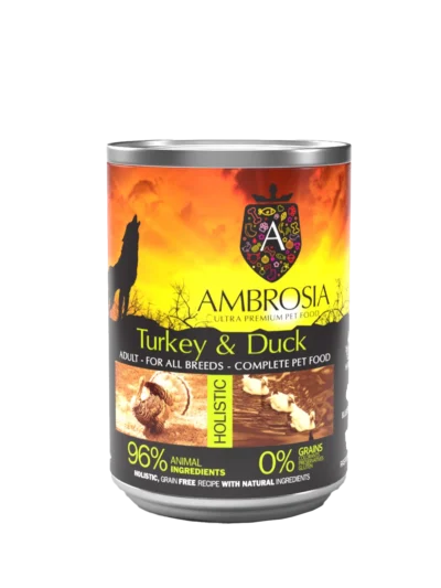 Kalakutiena ir antis