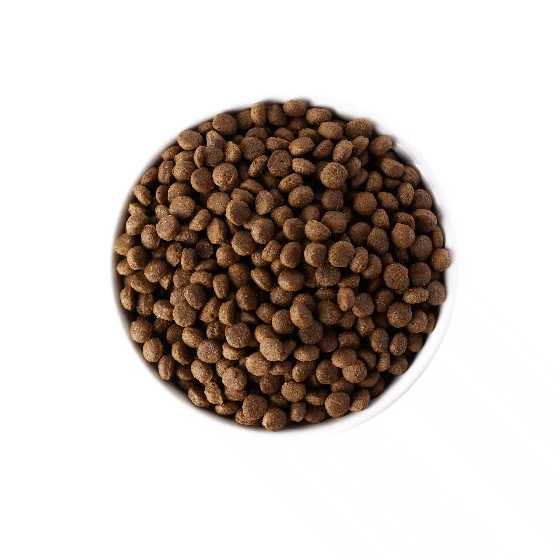 AMBROSIA MEDITERRANEAN21354