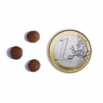 AMBROSIA KIBBLE2114 600X800